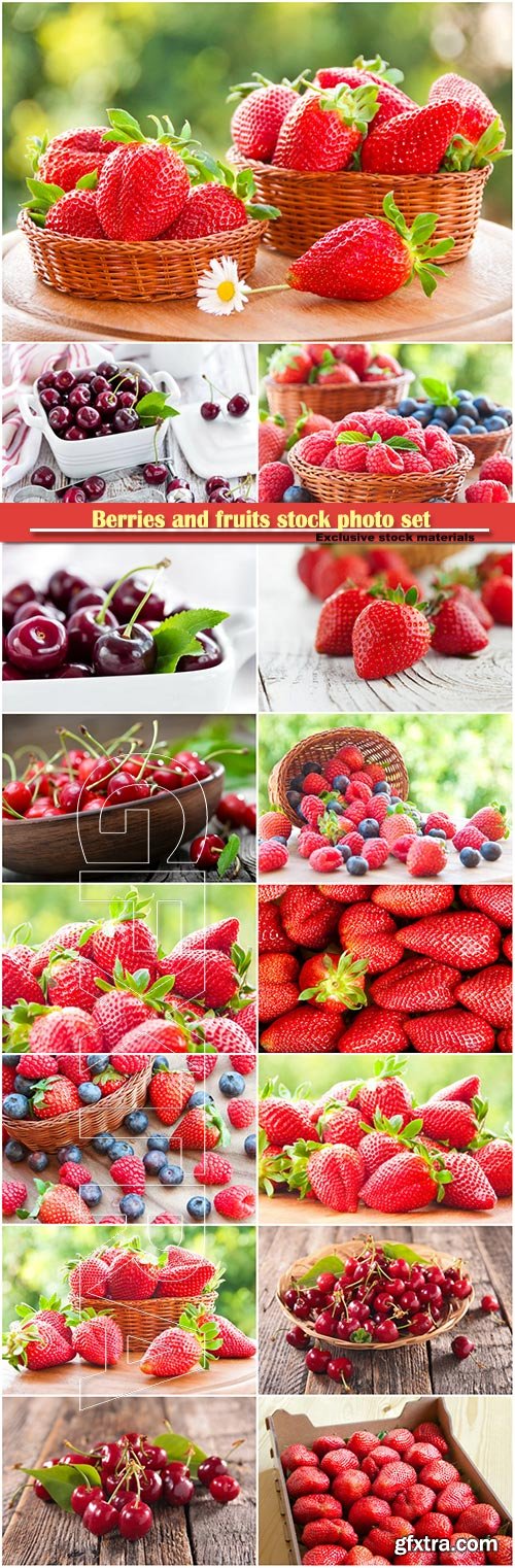 Berries and fruits stock photo set