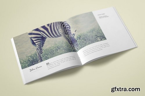 Multipurpose Clean Square Brochure