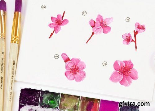 15 Watercolor Cherry Blossom Flower Illustration