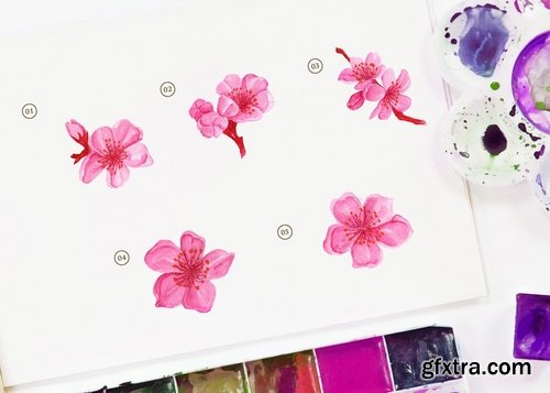 15 Watercolor Cherry Blossom Flower Illustration