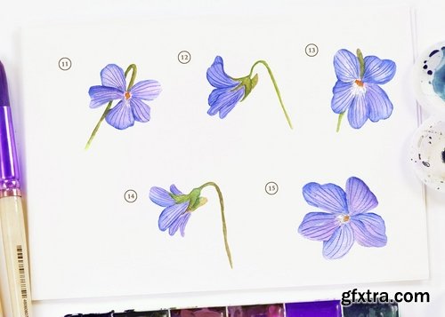 15 Watercolor Dog Violet Flower Illustration