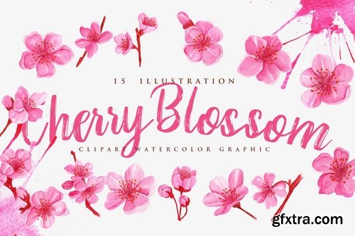 15 Watercolor Cherry Blossom Flower Illustration