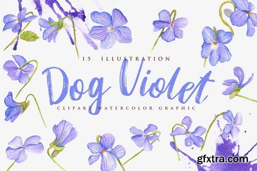 15 Watercolor Dog Violet Flower Illustration