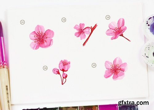 15 Watercolor Cherry Blossom Flower Illustration