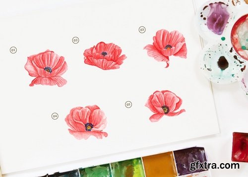 15 Watercolor Poppy Flower Illustration