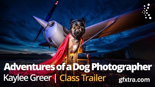 KelbyOne - Adventures of Becoming a Dog Photographer