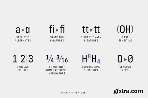 CM - Config Condensed Font Family 3665501