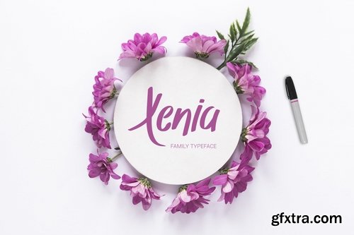 CM - Xenia Family Typeface 3670638