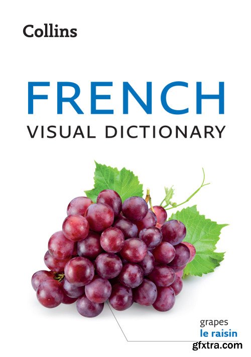 Collins French Visual Dictionary