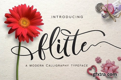 200+ Fonts Collection