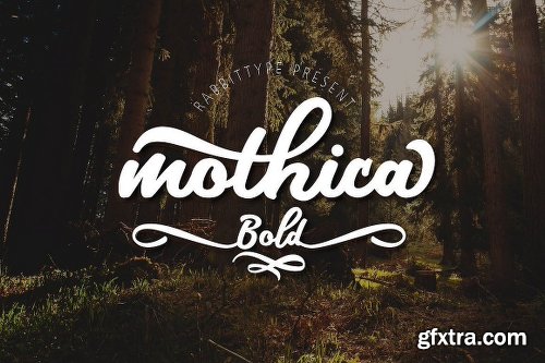 200+ Fonts Collection