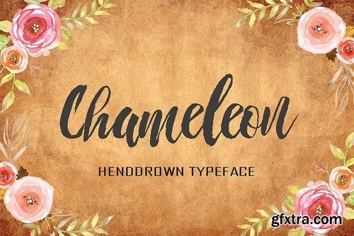 200+ Fonts Collection