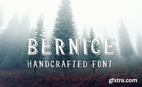 200+ Fonts Collection