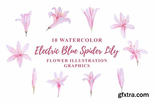 10 Watercolor Electric Blue Spider Lily Flower