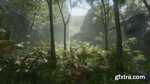 Tropical Forest Pack