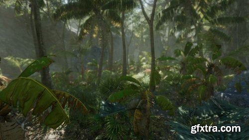 Tropical Forest Pack
