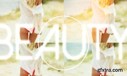 Videohive - Video or Photo Gallery - 11543643