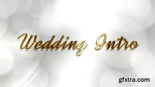 Videohive - Wedding Intro - 21879185