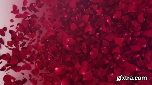 Videohive - Petals Logo Reveal III - 20732892