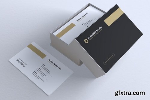 Minimalist Business Card Vol. 24