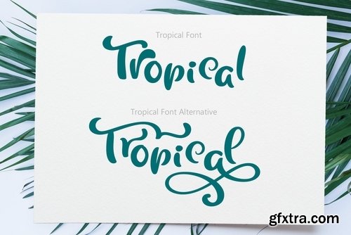 Tropical Summer Font