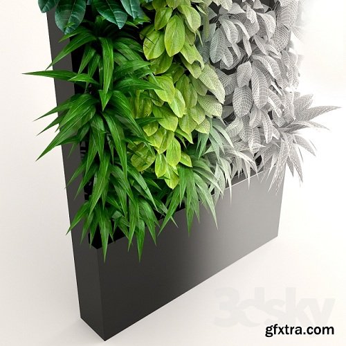 Vertical gardening 2