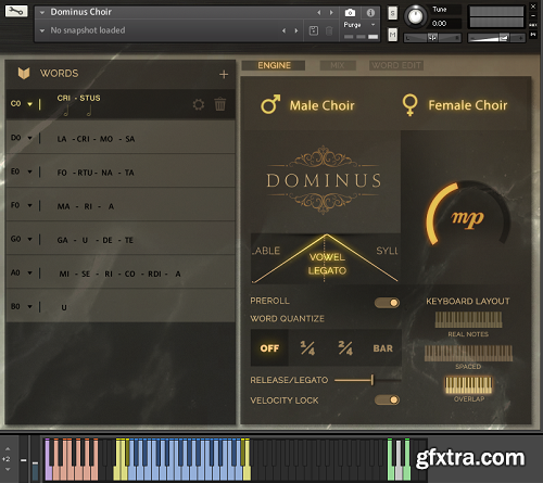 Fluffy Audio Dominus Choir KONTAKT-AwZ