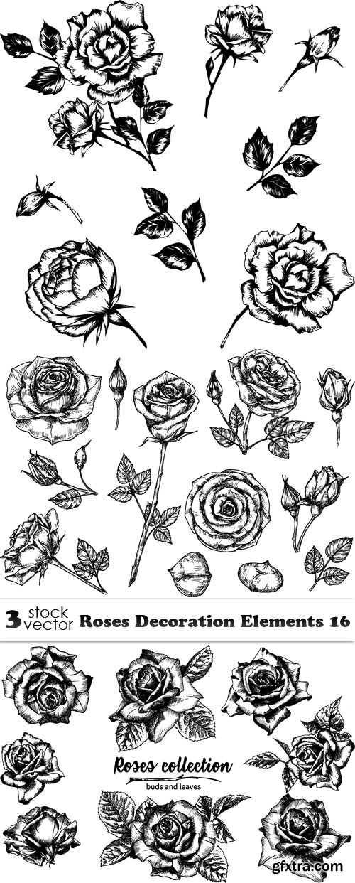 Vectors - Roses Decoration Elements 16