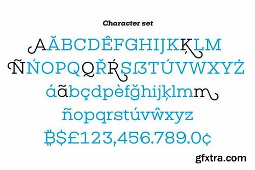 Vicky Font Family