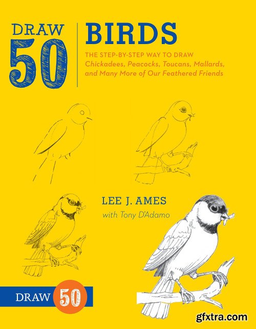 Draw 50 Birds