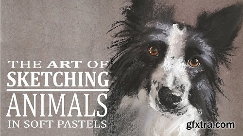 Sketching Animals in Soft Pastels with Kate Amedeo | Coco