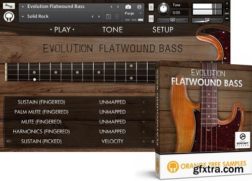 Orange Tree Samples Evolution Flatwound Bass KONTAKT-AwZ