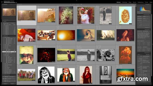 Fundamentals of Lightroom I: Organize Files and Boost Your Workflow