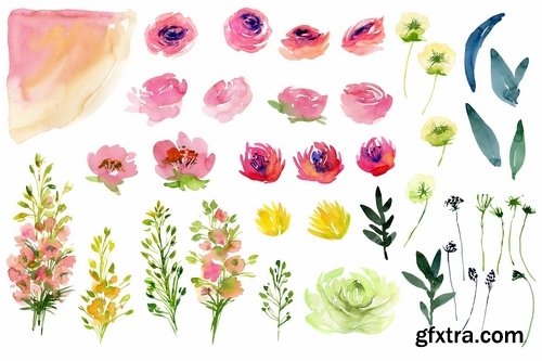 Watercolor Country Flowers