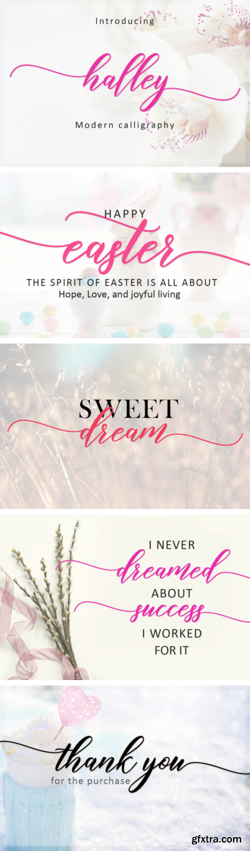 Halley Script Font