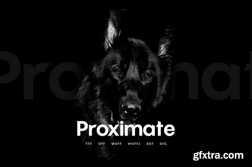 Proximate - Modern Display Typeface + WebFonts