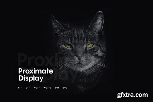 Proximate - Modern Display Typeface + WebFonts