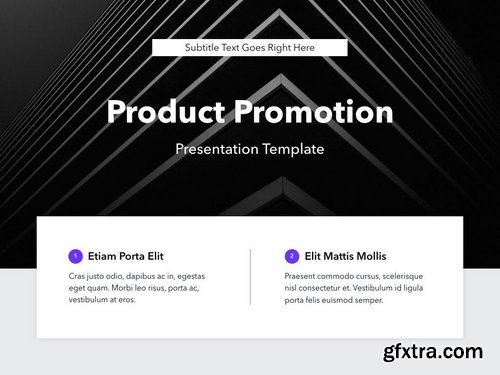 Product Promotion PowerPoint Template