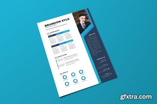 Professional Resume 2