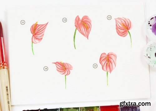 15 Watercolor Flamingo Flower Illustration