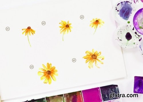 15 Watercolor Rudbeckia Illustration