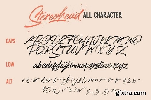 CM - Stereohead Brush Font SVG 3693533