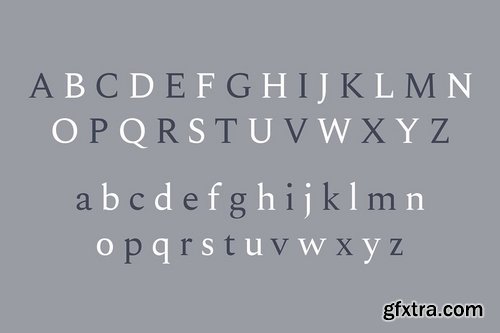 CM - Madelin Serif Font Family 3714521