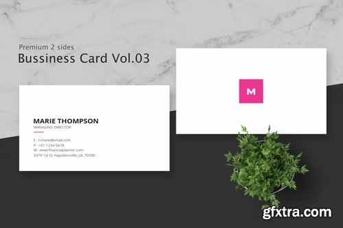 Business Card Pro V.003