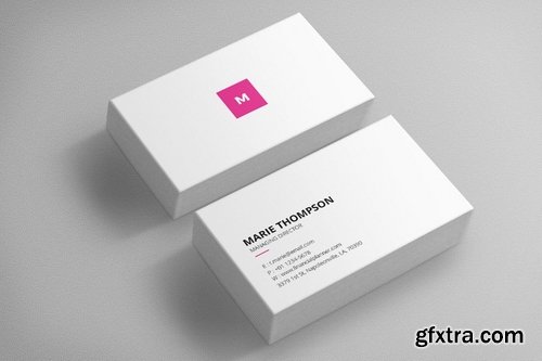 Business Card Pro V.003