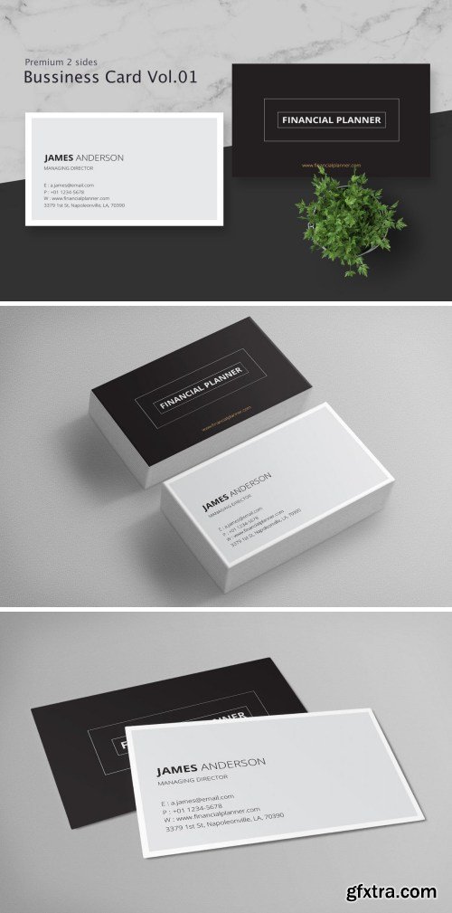 Business Card Pro V.001