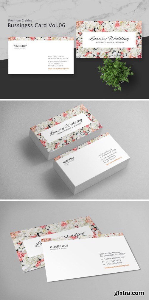 Business Card Pro V.006