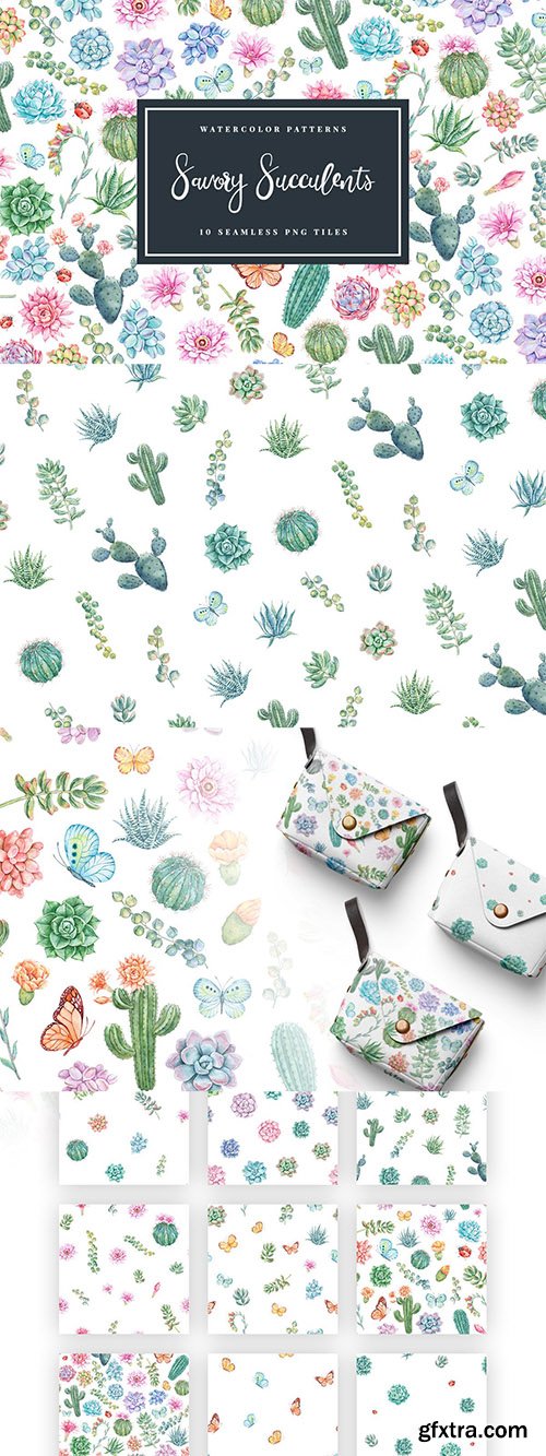 Savory Succulents - Seamless Patterns