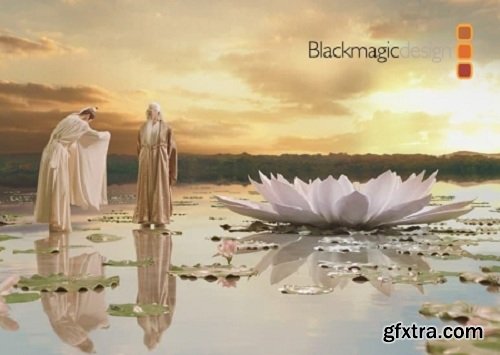 Blackmagic Design Fusion Studio 16 Beta 1