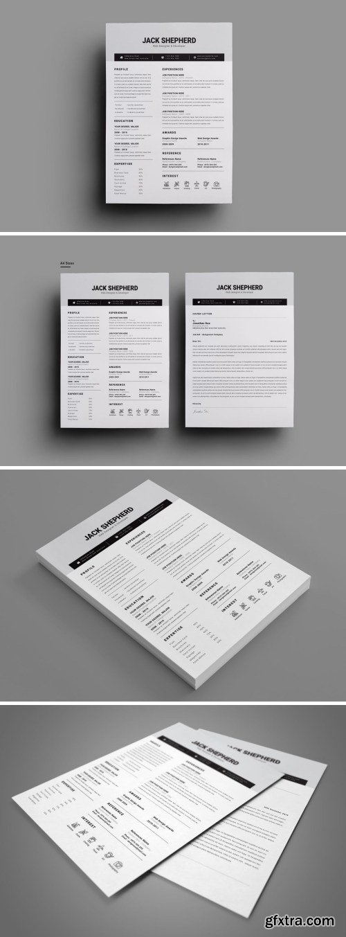 Professional Resume 3